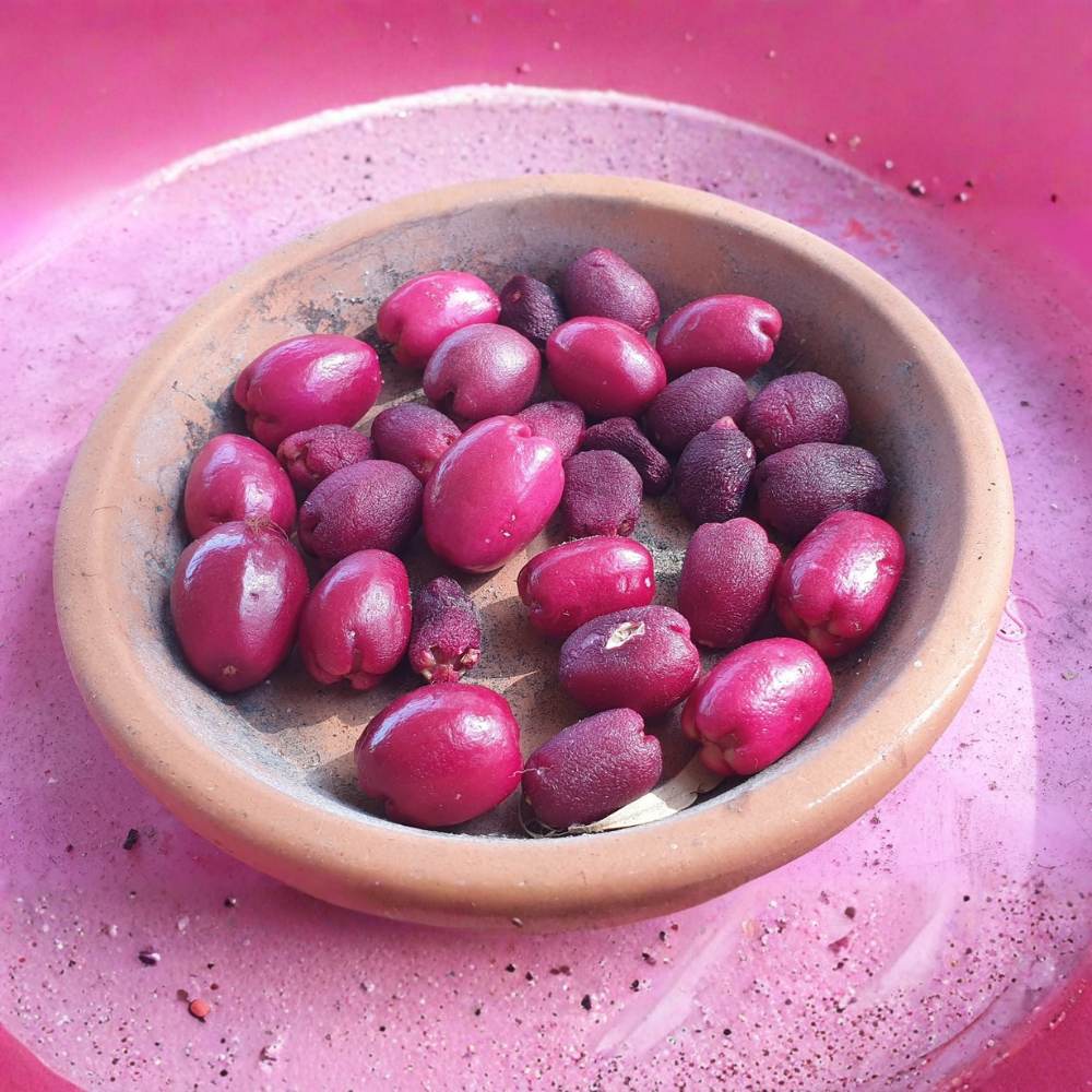 Fructul Red Lili Pili (Syzygium oleosum), in ghiveci, arbust vesnic verde cu frunze rosii decorative si fructe comestibile rosii dulce-acrisor