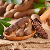Fructul Tamarind (Tamarindus indica), in ghiveci, arbore exotic cu fructe comestibile dulci-acrisoare, planta tropicala decorativa