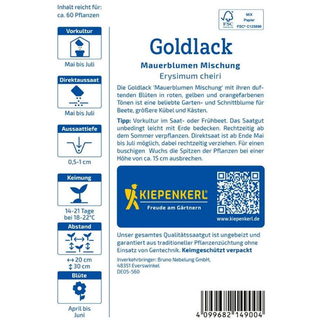 Seminte de goldlac – mix Mauerblumen, flori galbene si portocalii, ajunge pentru 60 Plante