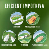 Spray Insecticid pentru Plante Verzi si Infloritoare, 750 ml, Protectie Completa, COMPO