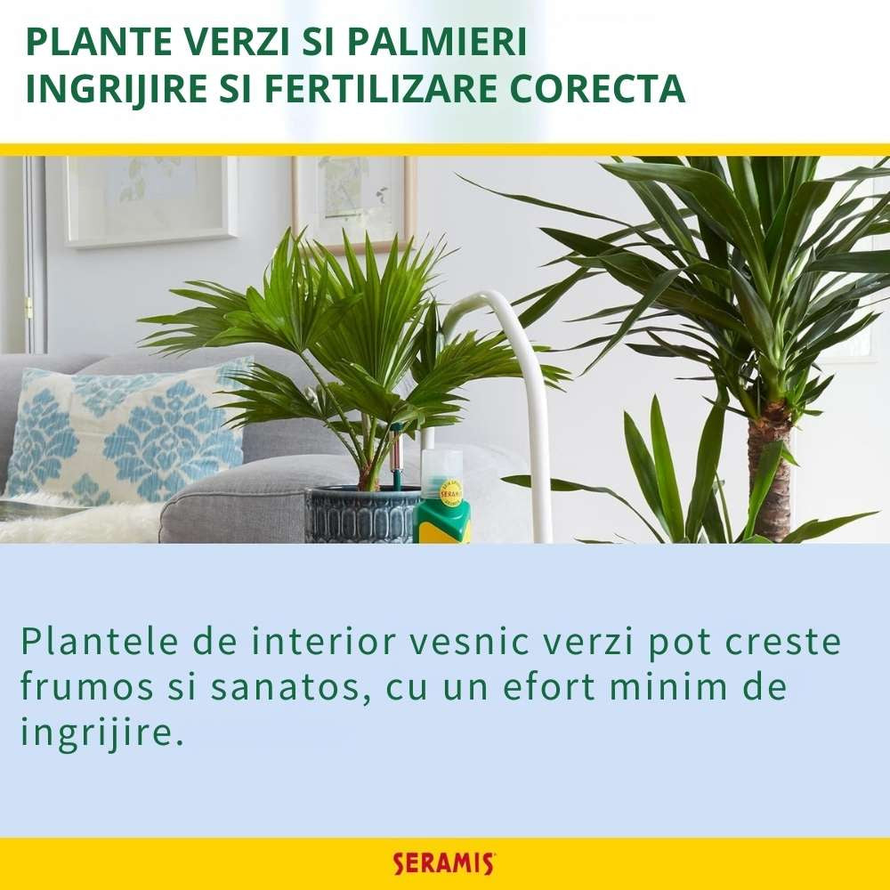 Ingrasamant lichid SERAMIS pentru plante verzi si palmieri, nutritie vitala cu dozare precisa, 500 ml