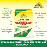 Atrament capcana muste de fructe NEUDORFF, 2 rezerve x 30 ml, atractant alimentar fara insecticide