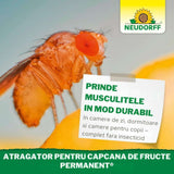 Atrament capcana muste de fructe NEUDORFF, 2 rezerve x 30 ml, atractant alimentar fara insecticide