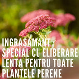 Ingrasamant granulat COMPO pentru plante perene si arbusti ornamentali, efect indelungat 6 luni, 2 kg