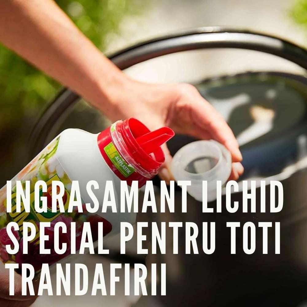 Ingrasamant lichid COMPO pentru trandafiri, flori intense si crestere sanatoasa, 1 l