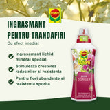 Ingrasamant lichid COMPO pentru trandafiri, flori intense si crestere sanatoasa, 1 l