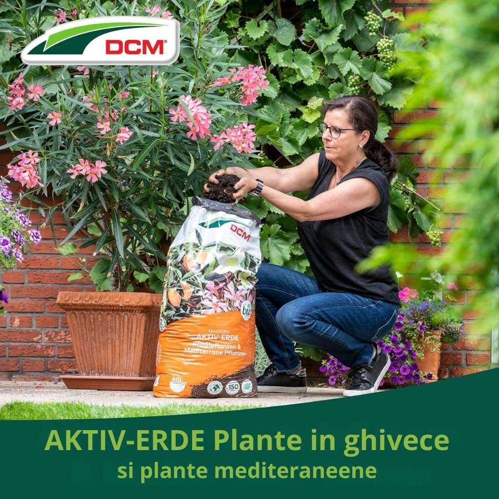 Pamant nutritiv pentru plante mediteraneene si plante la ghiveci DCM Cuxin, cu muschi sphagnum si micorize, organic, 20 L