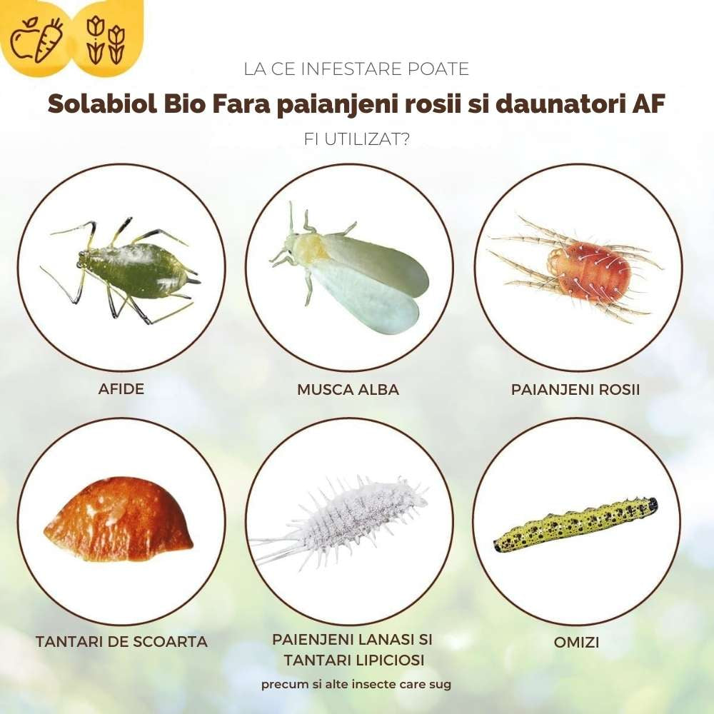 Spray insecticid organic SOLABIOL gata de utilizat, impotriva acarienilor si daunatorilor, 500 ml