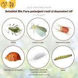 Spray insecticid organic SOLABIOL gata de utilizat, impotriva acarienilor si daunatorilor, 500 ml