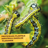 Spray insecticid organic SOLABIOL gata de utilizat, impotriva acarienilor si daunatorilor, 500 ml