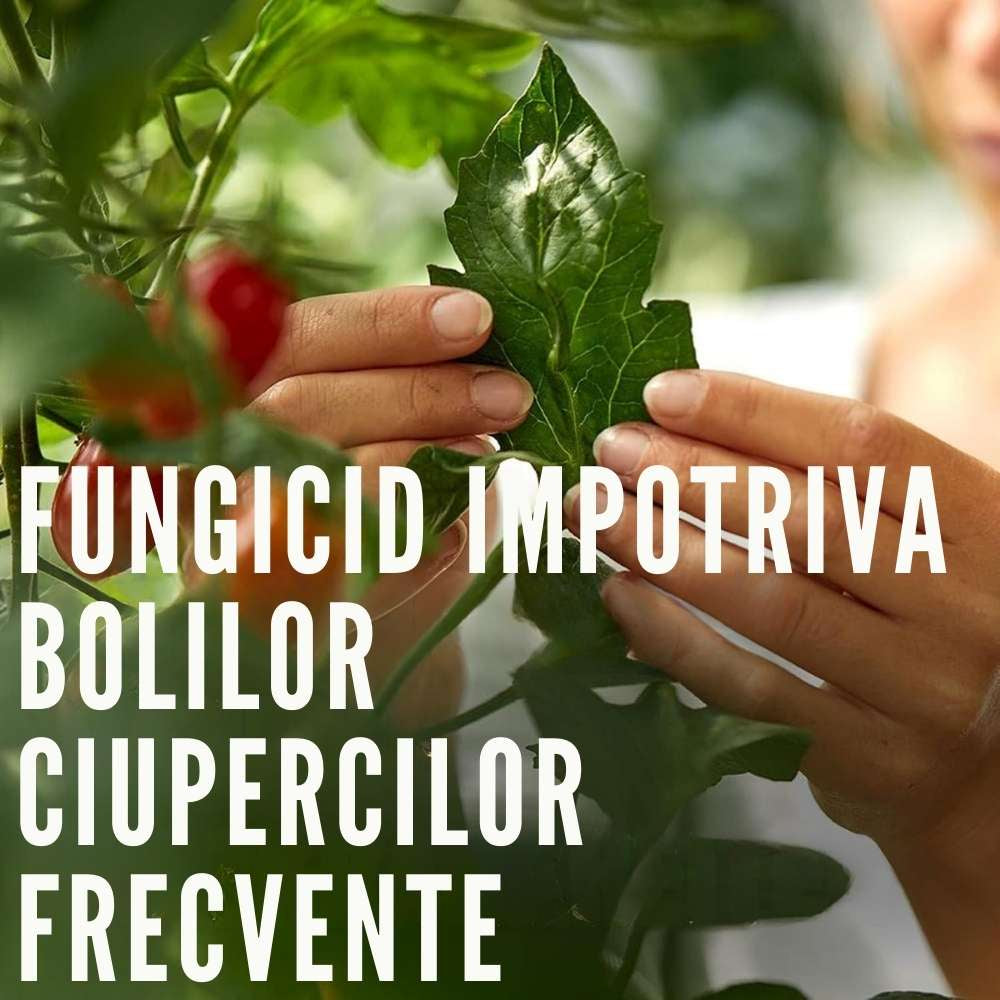 Fungicid concentrat COMPO Ortiva Special Pilz-frei AF pentru plante ornamentale si legume, 1 l