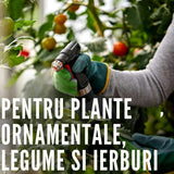Fungicid concentrat COMPO Ortiva Special Pilz-frei AF pentru plante ornamentale si legume, 1 l