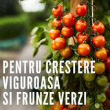 Fungicid concentrat COMPO Ortiva Special Pilz-frei AF pentru plante ornamentale si legume, 1 l