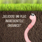 Ingrasamant conifere si gard viu SUBSTRAL Naturen, NPK 7-3-5 cu zeolit, 1.7 kg, fertilizant organic-mineral cu efect 3 luni