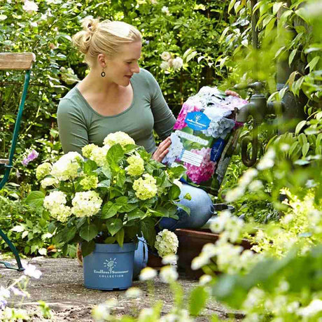 Pamant nutritiv hortensii FLORAGARD Endless Summer, substrat special hortensii roz/alb, ambalaj cu maner, 20 L