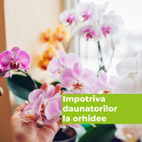 Spray insecticid PROTECT GARDEN Lizetan pentru orhidee, 500 ml