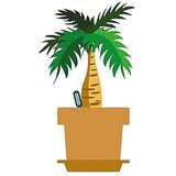 Substrat special pentru palmieri SERAMIS, granule din argila pentru inlocuire completa pamant ghiveci, drenaj optim si crestere sanatoasa, 15 l