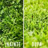 Substrat pentru semanat COMPO SANA pentru ierburi si plante tinere, pamant special cu fertilizare initiala, 20 litri