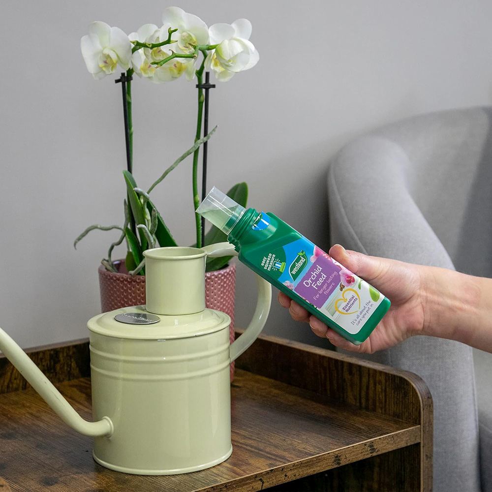 Ingrasamant lichid pentru orhidee WESTLAND, crestere sanatoasa si flori de lunga durata, 200 ml