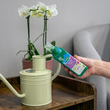 Ingrasamant lichid pentru orhidee WESTLAND, crestere sanatoasa si flori de lunga durata, 200 ml