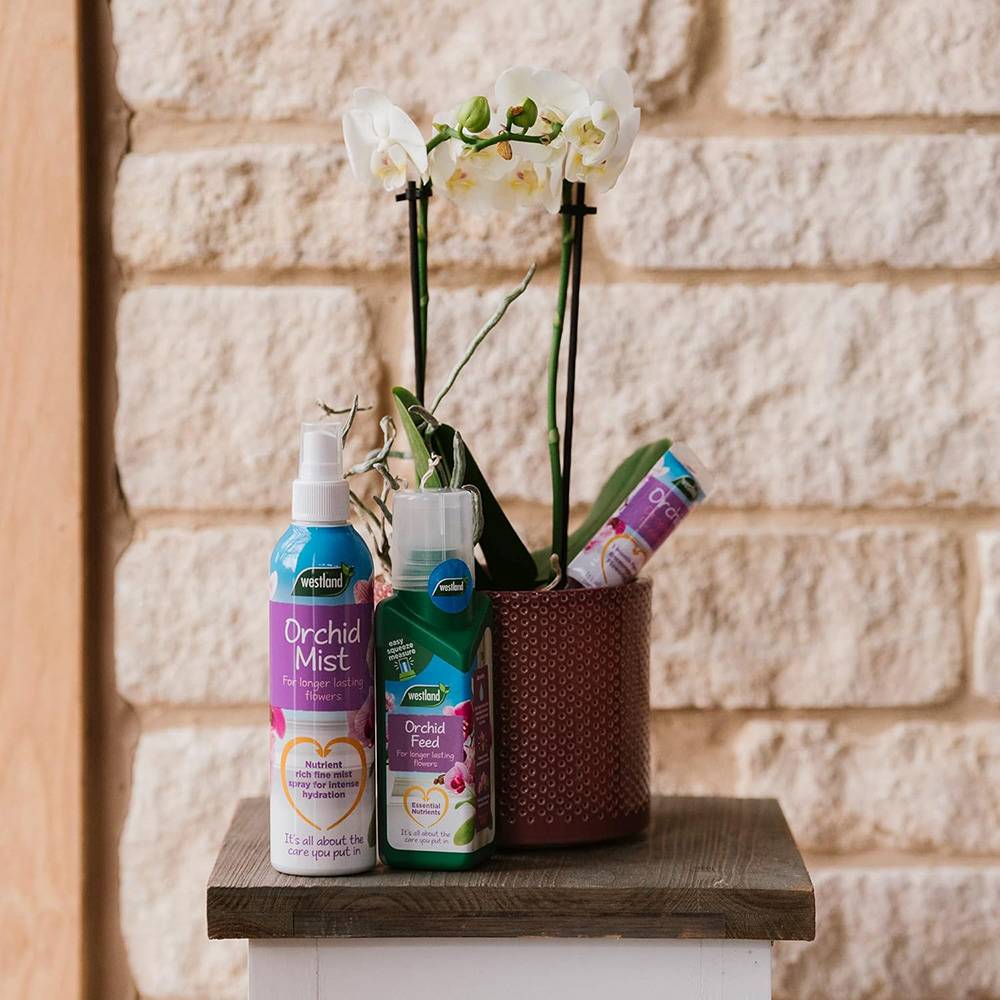 Ingrasamant lichid pentru orhidee WESTLAND, crestere sanatoasa si flori de lunga durata, 200 ml
