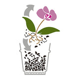 Apa cu ingrasamant pentru orhidee WESTLAND, hranire si udare 2 in 1 pentru crestere sanatoasa si inflorire indelungata, 720 ml