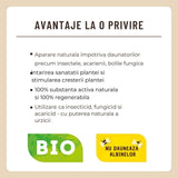 Spray plante SUBSTRAL Naturen Urtica, solutie organica pentru vitalitate, protectie naturala si reducerea daunatorilor, 750 ml