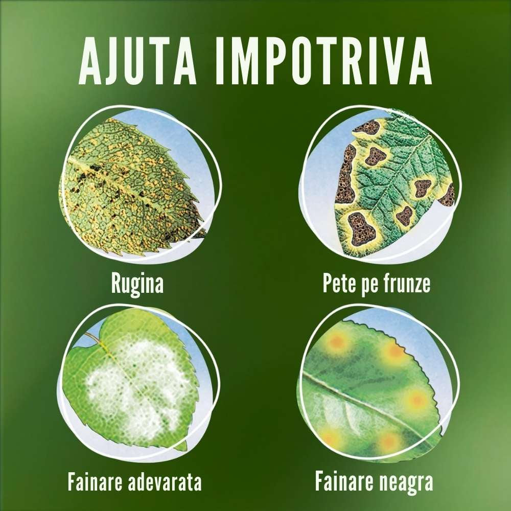 Spray insecticid COMPO Triathlon Insect Free AF pentru legume, capsuni si plante ornamentale, 750 ml