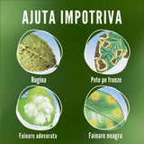 Spray insecticid COMPO Triathlon Insect Free AF pentru legume, capsuni si plante ornamentale, 750 ml