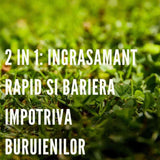 Ingrasamant gazon anti buruieni preventiv COMPO efect 6–8 saptamani, fertilizant organic-mineral, 200 mp, 10 kg