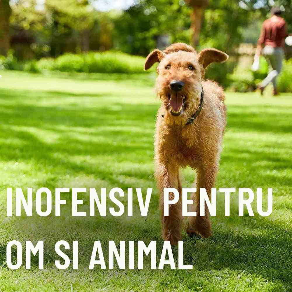 Ingrasamant gazon anti buruieni preventiv COMPO efect 6–8 saptamani, fertilizant organic-mineral, 200 mp, 10 kg