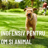 Ingrasamant gazon anti buruieni preventiv COMPO efect 6–8 saptamani, fertilizant organic-mineral, 200 mp, 10 kg