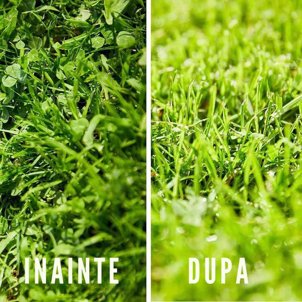 Ingrasamant gazon anti buruieni preventiv COMPO efect 6–8 saptamani, fertilizant organic-mineral, 200 mp, 10 kg