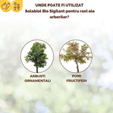 Vopsea trunchi arbori Solabiol, vopsea alba pentru protectie organica, 1 kg