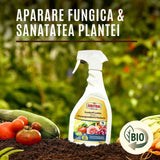 Spray fungicid organic cu lecitina, SUBSTRAL, 750 ml, protectie naturala impotriva bolilor fungice, sanatate sporita pentru plante