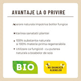 Spray fungicid organic cu lecitina, SUBSTRAL, 750 ml, protectie naturala impotriva bolilor fungice, sanatate sporita pentru plante