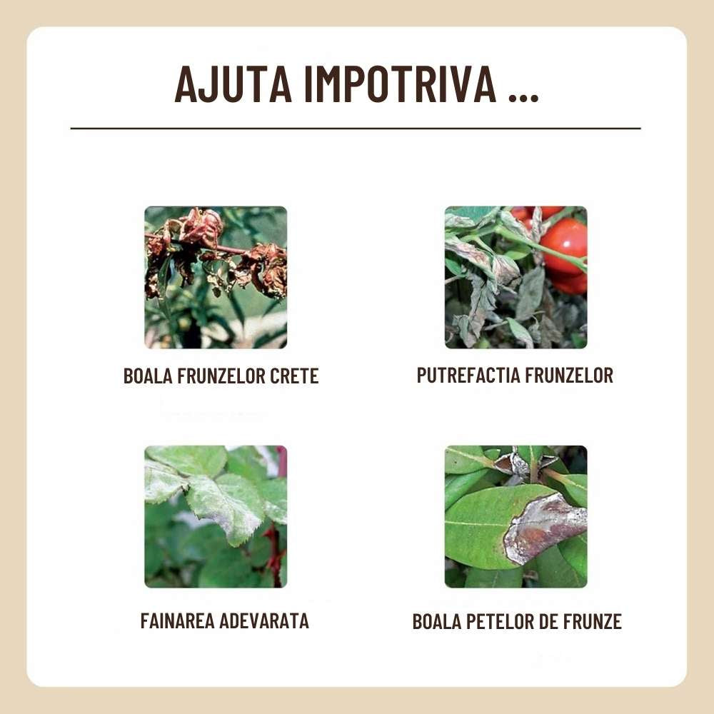 Spray fungicid organic cu lecitina, SUBSTRAL, 750 ml, protectie naturala impotriva bolilor fungice, sanatate sporita pentru plante