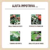 Spray fungicid organic cu lecitina, SUBSTRAL, 750 ml, protectie naturala impotriva bolilor fungice, sanatate sporita pentru plante