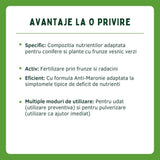 Fertilizant lichid SUBSTRAL pentru tuia si arbori vesnic verzi, formula anti-brunificare, 500 ml