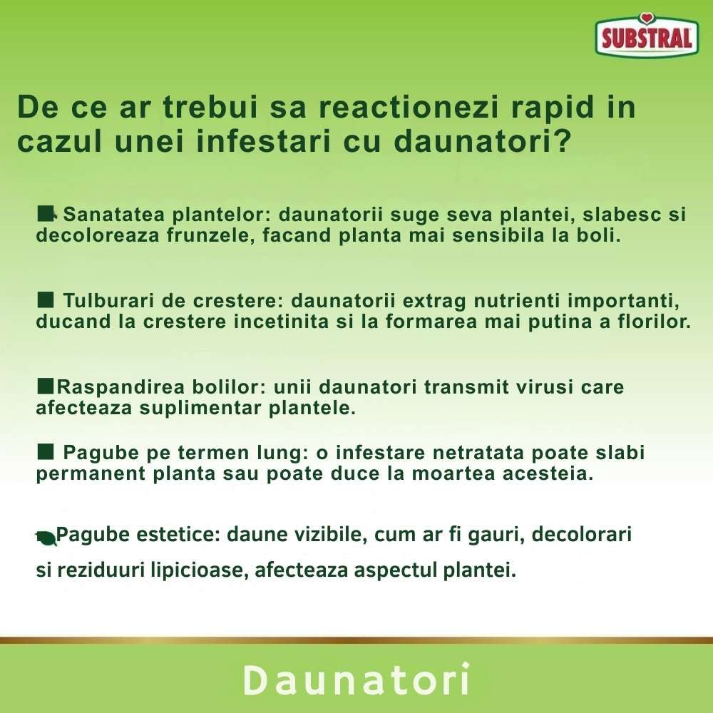 Spray plante ornamentale SUBSTRAL Careo, insecticid sistemic impotriva afidelor, paduchilor lanosi, musculitei albe si omizilor, 800 ml
