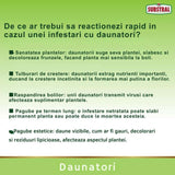 Spray plante ornamentale SUBSTRAL Careo, insecticid sistemic impotriva afidelor, paduchilor lanosi, musculitei albe si omizilor, 800 ml