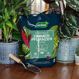 Substrat plante interior WESTLAND cu granule de argila, sol nutritiv pentru crestere sanatoasa, 4 l