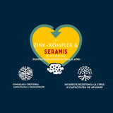 Substrat plante interior WESTLAND cu granule de argila, sol nutritiv pentru crestere sanatoasa, 4 l