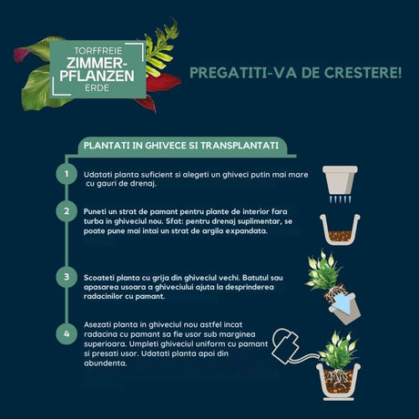 Substrat plante interior WESTLAND cu granule de argila, sol nutritiv pentru crestere sanatoasa, 8 l