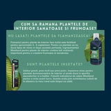 Substrat plante interior WESTLAND cu granule de argila, sol nutritiv pentru crestere sanatoasa, 8 l