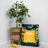 Substrat pentru citrice WESTLAND cu granule de argila, nutritie optima si drenaj eficient, 8 l