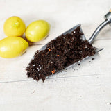 Substrat pentru citrice WESTLAND cu granule de argila, nutritie optima si drenaj eficient, 8 l