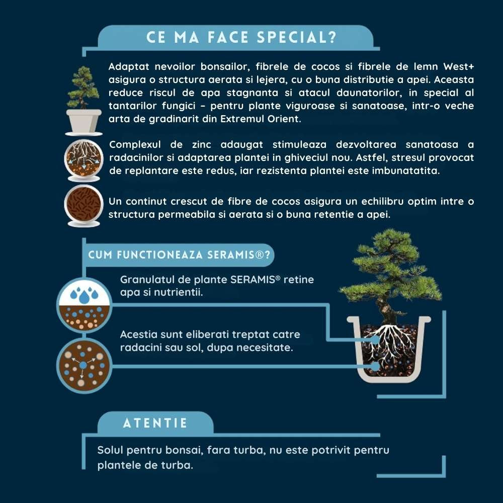 Pamant pentru bonsai WESTLAND