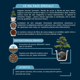 Pamant pentru bonsai WESTLAND, substrat special cu granule de argila pentru radacini puternice si frunze sanatoase, 4 len nutrient distribution At least 6 weeks of nutrient supply
