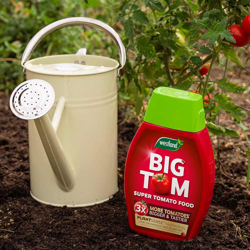 Ingrasamant lichid WESTLAND Big Tom pentru rosii, productie crescuta si gust intens, pana la 3 ori mai multe rosii, 1 l